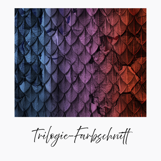 Zeitbrand-Triologie Sammlerbox